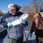13 lb Chehalis River late Winter Steelhead 2-21-10