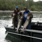 Cowlitz River King Salmon 8-29-2010