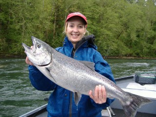 Nice Cowlitz River Spring Chinook Salmon