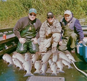 Cowlitz River Fall Coho Salmon