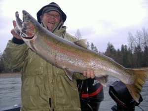 Cowlitz River Buck Steelhead