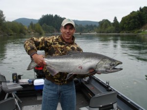 Cowlitz River King Salmon