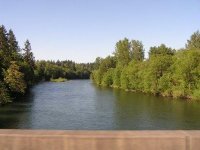 The Cowlitz river