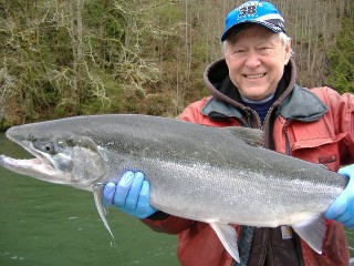 18 pound Cowlitz river Steelhead caught on 2-28-10