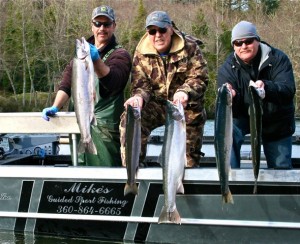 5 Cowlitz River Steelhead in the boat March 10th, 2010