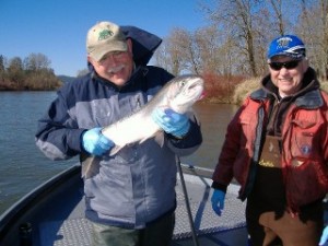 Chehalis river winter Steelhead caught on 2-21-10