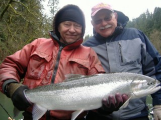 Winter Steelhead caught from a drift boat 2-20-11