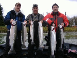 Late Winter March 2011 Steelhead