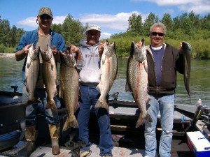 Fall 2011 Chinook Salmon