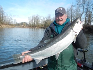 Winter Steelhead February 2013