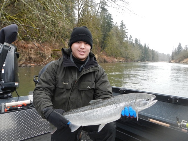 Cow;itz river winter steelhead, March, 2014