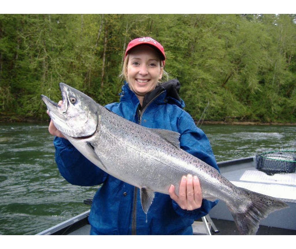 Cowlitz River Spring Chinook Salmon